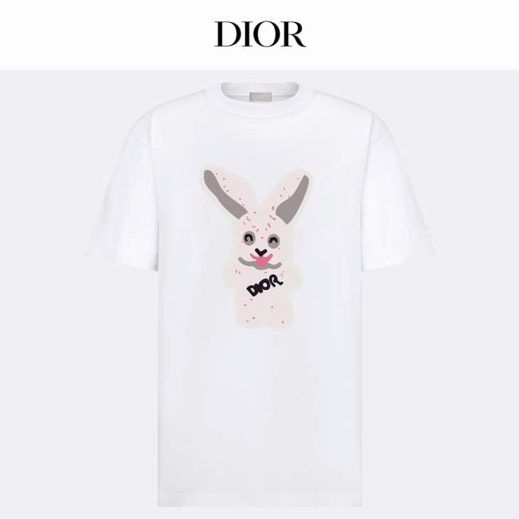 Dior T Shirts Short _SKUDiorXS-Lxetr10615456